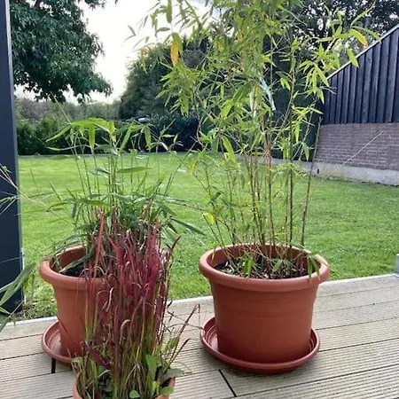 Kleines Einzelzimmer Nr. 7 In * Kleve (Dusseldorf)