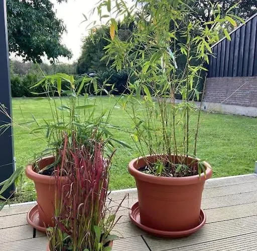 Kleines Einzelzimmer Nr. 7 In * Clèves